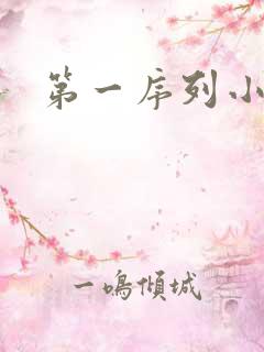 第一序列小说