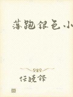 落跑银色小行星