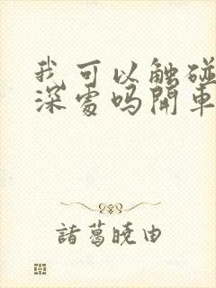 我可以触碰你的深处吗开车作文