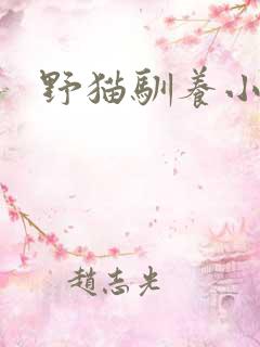 野猫驯养小说