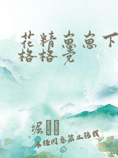 花精崽崽下山了格格党