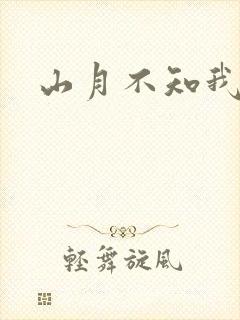 山月不知我心事