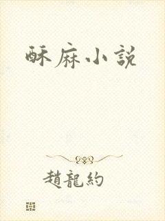 酥麻小说