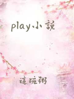 play小说