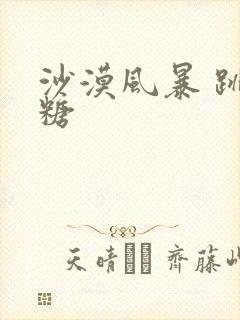 沙漠风暴 跳跳糖