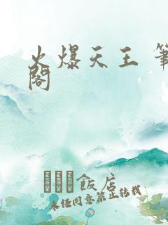 火爆天王 笔趣阁