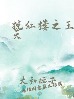 挽红楼之玉舞九天