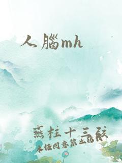 人脑mh