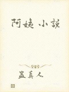阿姨 小说