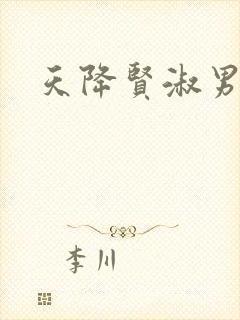 天降贤淑男小说