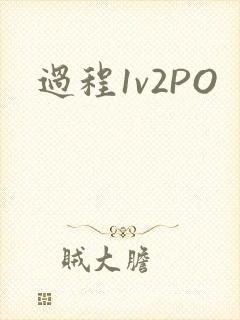 过程1v2PO