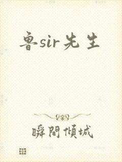 鲁sir先生