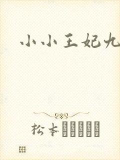 小小王妃九岁半