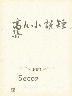 高h小说短篇合集