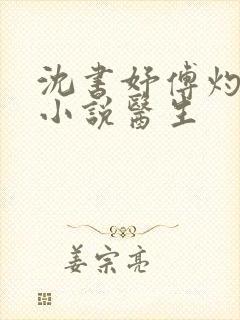 沈书妤傅灼抖音小说医生