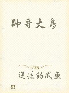 帅哥大鸟
