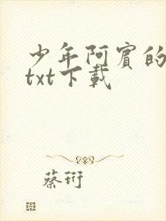 少年阿宾的故事txt下载