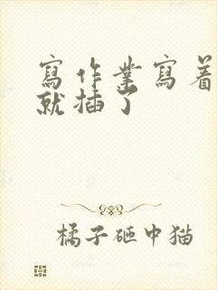 写作业写着写着就插了