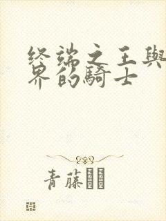 终端之王与异世界的骑士