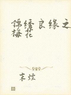 锦绣良缘之驿寄梅花