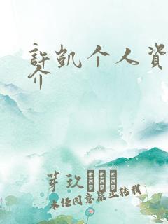 许凯个人资料简介