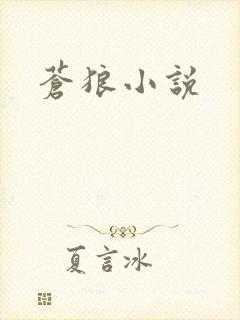 苍狼小说