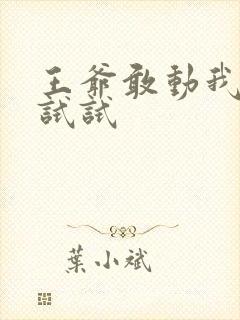 王爷敢动我妈咪试试