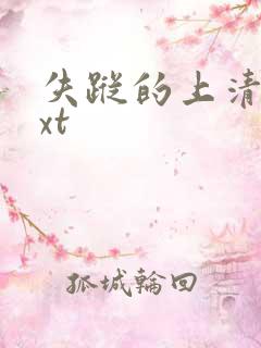 失踪的上清寺txt