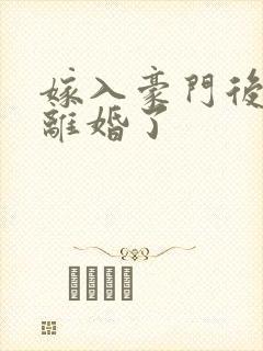 嫁入豪门后我又离婚了