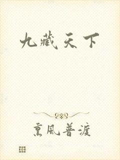 九藏天下