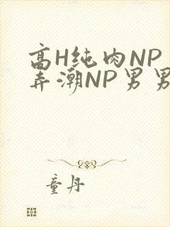 高H纯肉NP 弄潮NP男男