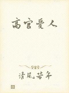 高官爱人