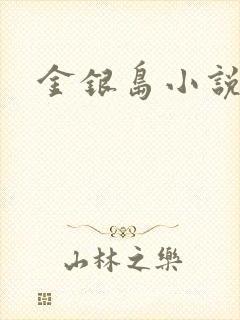金银岛小说