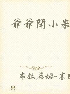 爷爷开小米的处