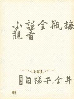 小说金瓶梅在线观看