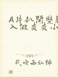 A片扒开双腿进入做爽爽小说