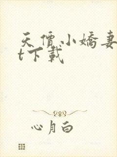 天价小娇妻txt下载