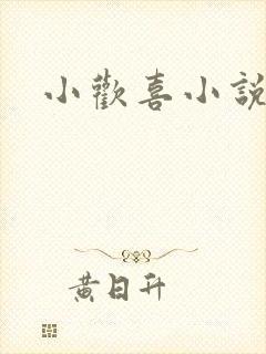 小欢喜小说