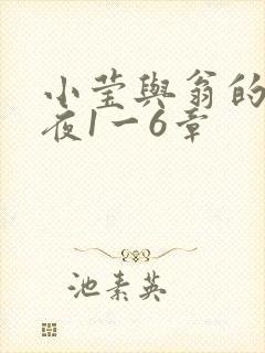 小莹与翁的销魂夜1一6章