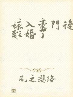 嫁入豪门后我又离婚了