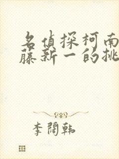 名侦探柯南给工藤新一的挑战书