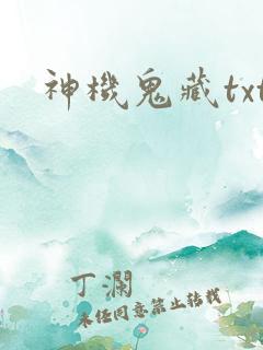 神机鬼藏txt