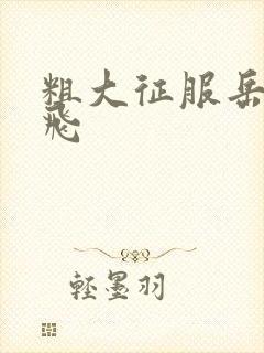 粗大征服岳女双飞