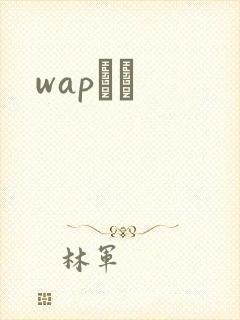 wapС˵