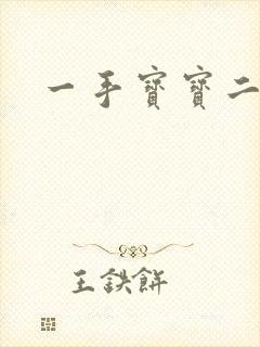 一手宝宝二手妻