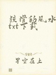 狡猾的风水相师txt下载