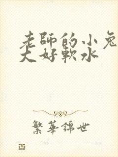 老师的小兔子好大好软水