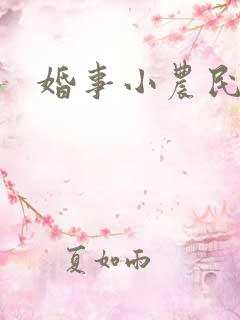 婚事小农民