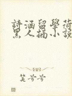 诗涵留学荷兰被黑人摘小说