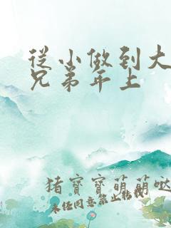 从小做到大骨科兄弟年上